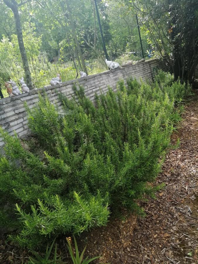 Apartments With A Parking Space Dramalj, Crikvenica - 5592 Exterior foto